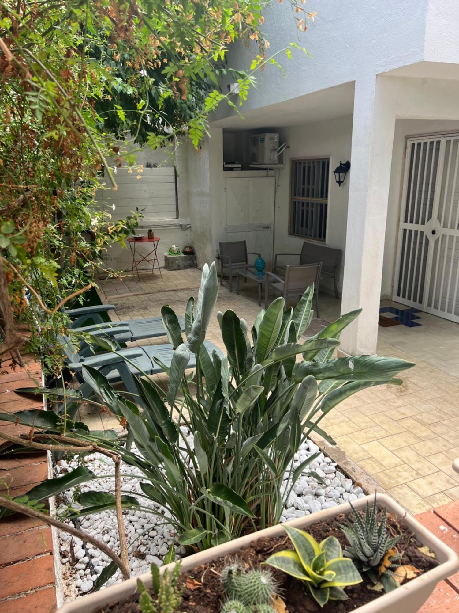 פלרמו Villa Apollo Mondello מראה חיצוני תמונה